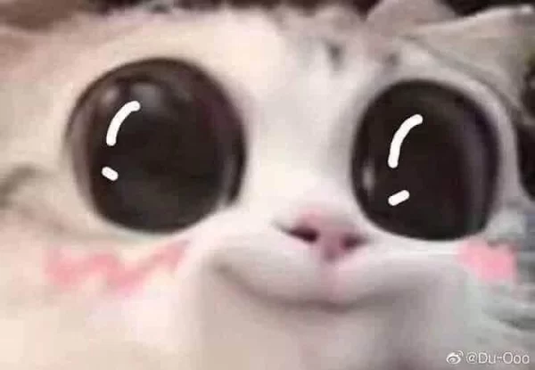 aaaaaaa