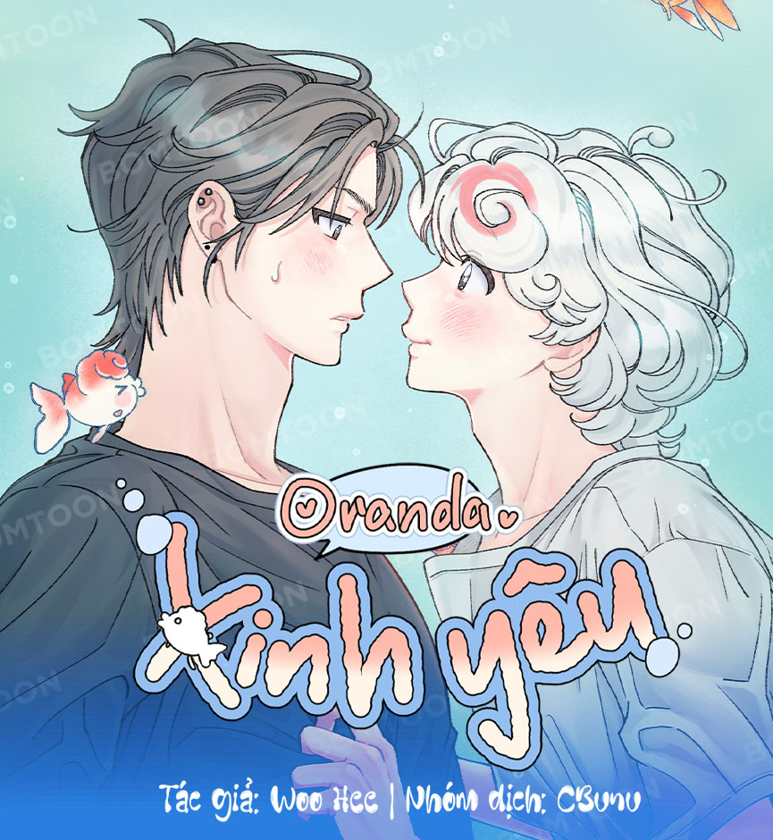 oranda-xinh-yeu